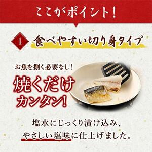 【ご家庭用】塩さばフィレ2kg