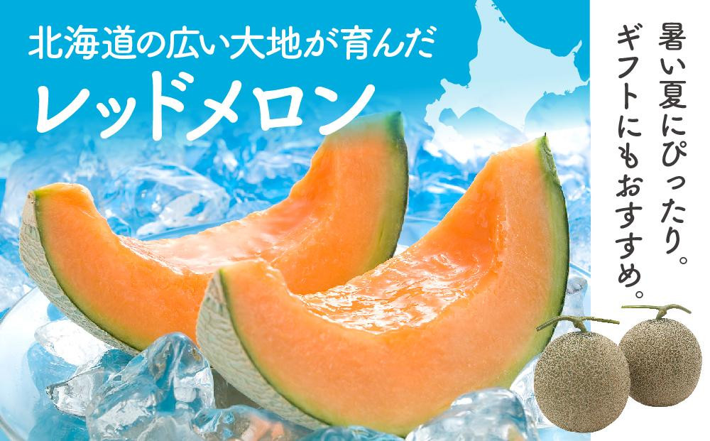 【26年発送先行予約】香り豊かな 北海道レッドメロン 1.3kg×1玉(2026年7月下旬から発送開始予定) 【 果物 くだもの フルーツ メロン 赤肉 赤肉メロン 旬 お取り寄せ 甘い 北海道産 旭