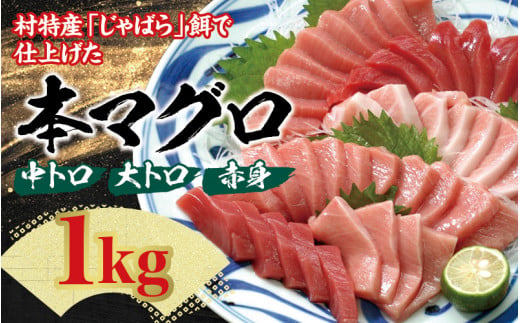 本マグロ（養殖）トロ＆赤身セット1kg 【8月発送】/ まぐろ 鮪 とろ 赤身 魚介 海鮮 魚 本マグロ【nks105B-8】