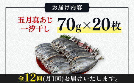 【全12回定期便】対馬 五月 真あじ 一汐干し 20枚 アジ 干物 [WAI062]
