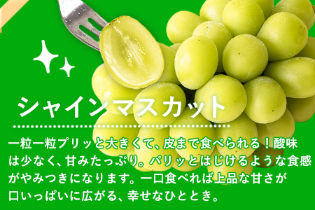 秀品 ニューピオーネ シャインマスカット 詰合せ 約1.2kg《9月中旬～11月上旬頃に出荷予定(土日祝除く)》｜シャインマスカットニューピオーネ st-p