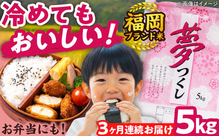【全3回定期便】【令和7年度産】夢つくし 5kg 精米 有限会社ファインリョーコク/吉富町[BGBV002]
