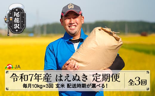 新米 米 毎月定期便 10kg×3回  はえぬき 玄米 令和7年産 2025年産 山形県尾花沢市産 送料無料 12月下旬発送開始 ja-hagxa10_tm-12s