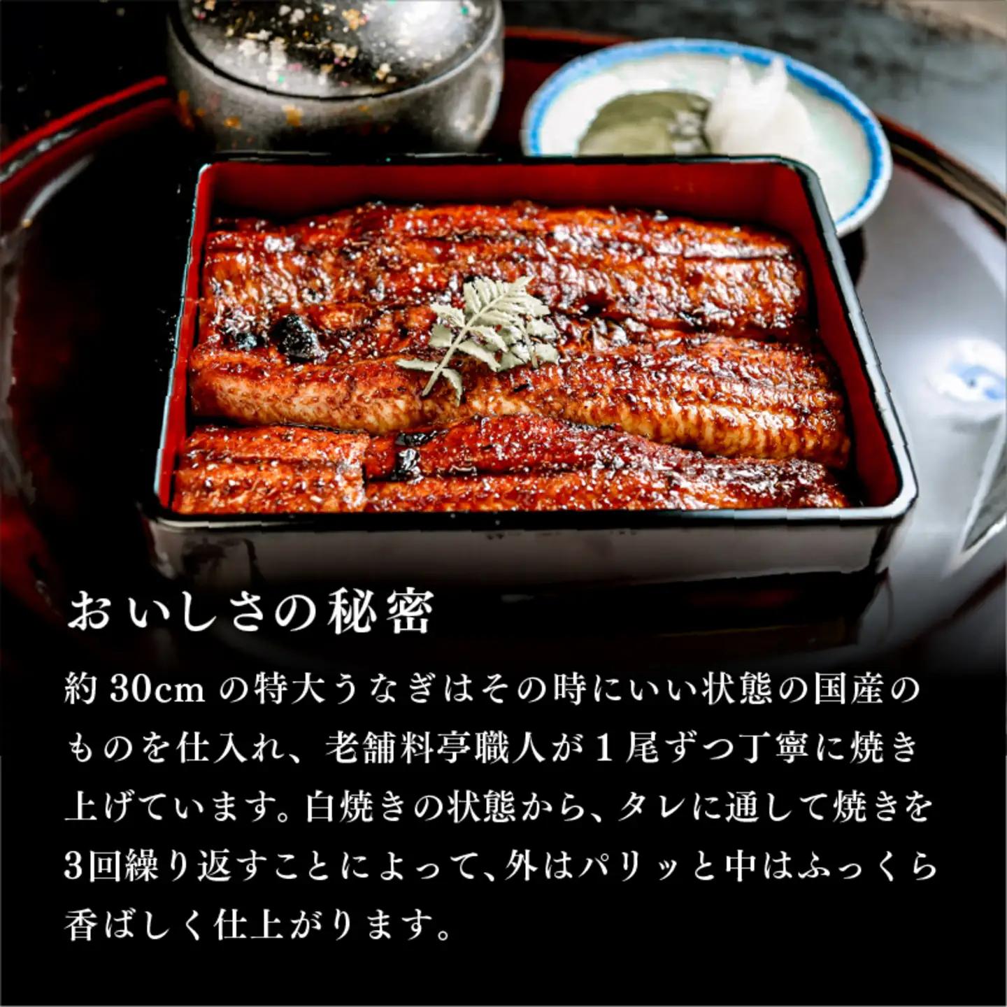 うなぎの蒲焼【特大サイズ１尾】魚 海鮮