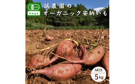  【11月～】種子島 産 オーガニック (有機) 種子島安納いも (誠農園) 5kg　NFN537 【350pt】