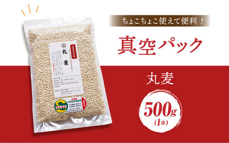 丸麦 500g＜1等麦使用＞江北町産 サチホゴールデン【葦農】 HAJ012 雑穀米 サチホゴールデン