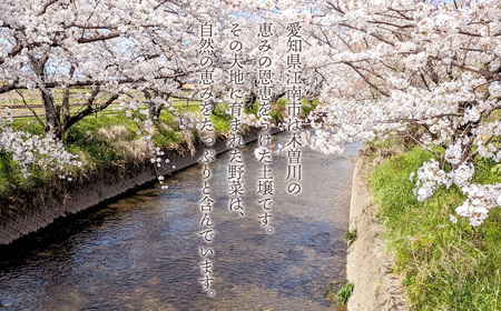 栽培期間中農薬化学肥料不使用 旬のココニコ無農薬野菜セット 7~8品 / 野菜 やさい 新鮮 旬 採れたて おいしい 産地直送 産直 露地栽培 こだわり 定番野菜 伝統野菜 めずらしい野菜 フレッシュ