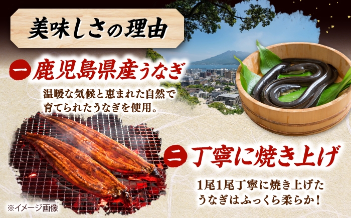 鹿児島産うなぎ2尾 蒲焼・白焼セット 国産 定期便
