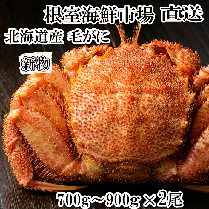 【ふるさと納税】【12月10日決済確定分まで年内配送】根室海鮮市場＜直送＞ボイル毛がに700〜900g×2尾 D-28055