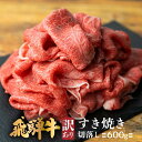 【ふるさと納税】飛騨牛 すき焼き 切落し 600g | 冷凍 切り落とし 肉 牛肉 ブランド牛 国産牛 国産 贈答不可 のし対応不可 飛騨高山 肉の匠家 BV009