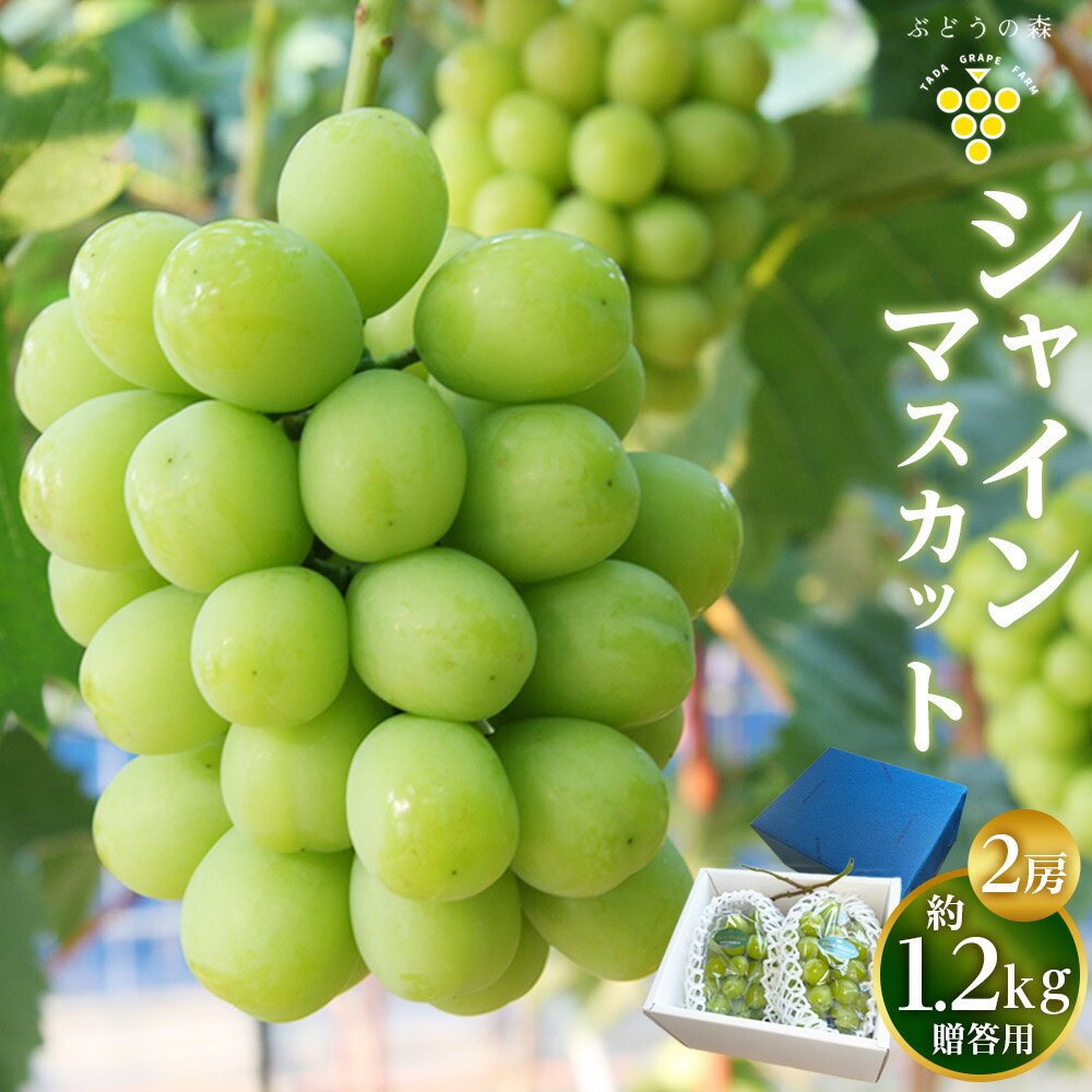 【ふるさと納税】シャインマスカット 約1.2kg （2房）【果物 くだもの フルーツ ぶどう 葡萄 2房 ギフト プレゼント 贈答用 香川県 さぬき 】