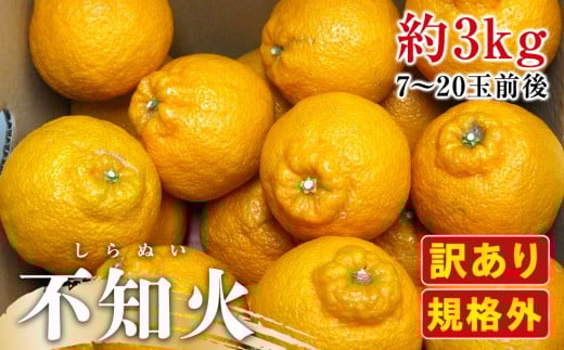 
            【2月下旬頃～発送】訳あり 規格外 不知火 (しらぬひ) 約3kg
          