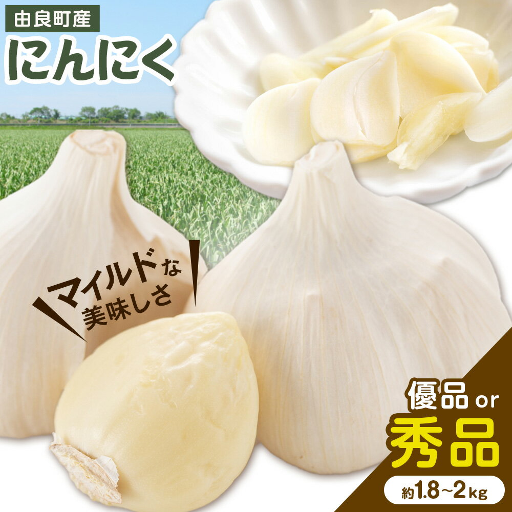 【ふるさと納税】由良町産 にんにく 選べる内容量 優品 約1.8kg 秀品 Lサイズ 約2kg(1kg×2)《4月下旬頃より出荷》 スマイル 和歌山県 日高町 ガーリック
