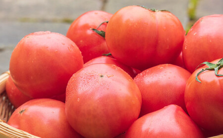 麗妃トマト（栽培自慢） 約4kg 【2025年12月上旬発送開始】 野菜 やさい とまと トマト 熊本県産 国産