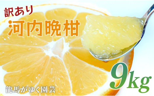 【訳あり】 河内晩柑 9kg （M～5L） 大容量 ばんかん 晩柑 バンカン 夏文旦 家庭用 みかん 蜜柑 柑橘 フルーツ 果物 サイズミックス 初夏 夏 ジュース お酒 お取り寄せ ビタミン 高知県 大月町 龍馬がゆく園芸