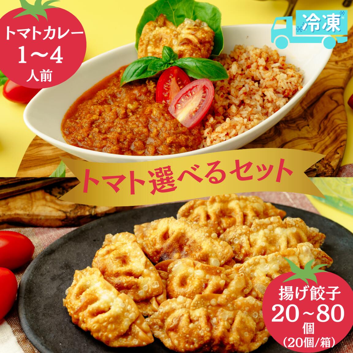 【ふるさと納税】 揚げ 餃子 北本トマトカレー 選べるセット | ギョウザ 冷凍 餃子 ギョーザ ぎょうざ ぎょーざ B級 ご当地 グルメ王 入賞 トマト トマトカレー カレー ご当地餃子 ご当地カレー 手軽 おやつ おつまみ 国産 大容量 中華 簡単 惣菜 北本フーズ 埼玉県 北本市