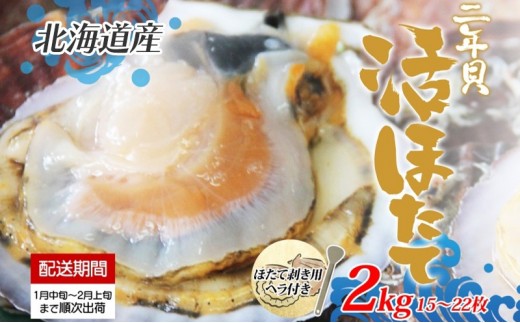 約2kg！活ほたて2年貝(15枚～22枚)