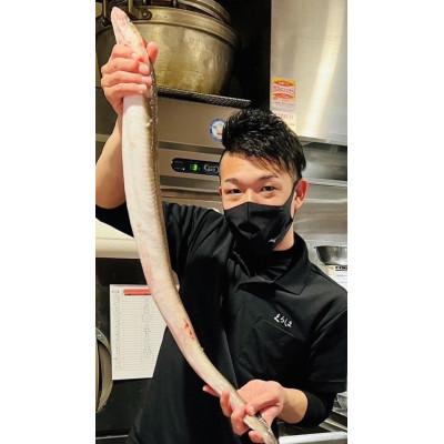 ふるさと納税 長岡京市 国産天然伝助穴子の煮穴子炙り(およそ6人前) |  | 02