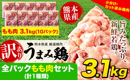 鶏肉 うまみ鶏 全パックもも肉セット(計1種類) 合計3.1kg 《1-5営業日以内に出荷予定(土日祝除く)》肉 小分け 筋トレ ヘルシー ダイエット タンパク質 たっぷり大満足！