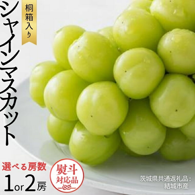 【ふるさと納税】＼ 選べる房数・熨斗対応 ／ 【 桐箱入り 】 シャインマスカット 1房 2房 【令和6年8月から発送開始】（茨城県共通返礼品 [ぶどう]：結城市産） 果物 フルーツ ぶどう マスカット ギフト 贈答 プレゼント 桐箱