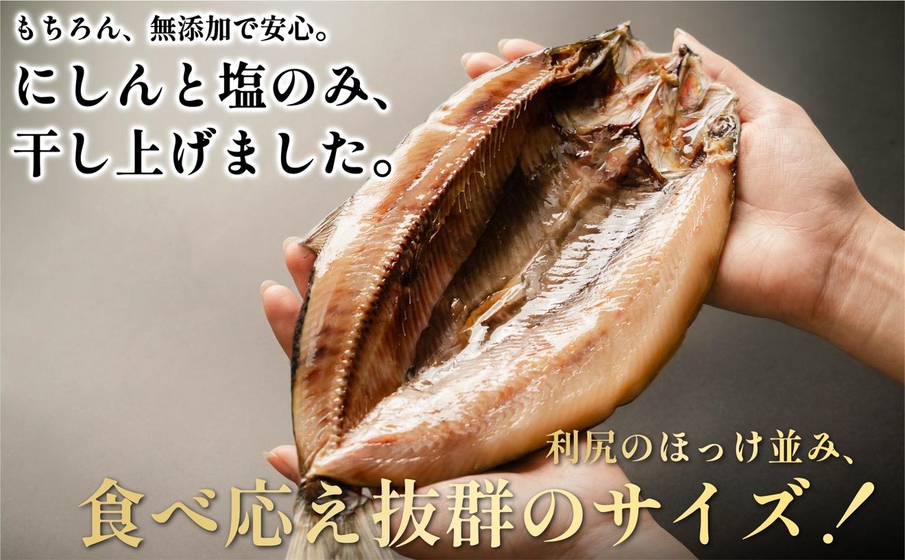 干物 ニシン 開き 5枚 | トロにしん 北海道 利尻産 無添加 国産 干物 脂のり抜群 開き 干し ニシン 肉厚 冷凍 ギフト 焼き魚 1２000円 1万円台[1060008]
