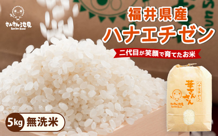 先行予約【令和8年産・新米】 ハナエチゼン 5kg～坂井市三国町産・こだわりの精米対応～（無洗米） [A-0270_05]