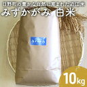 【ふるさと納税】【令和5年産】 みずかがみ 白米10kg　【お米】　お届け：2024年7月末まで