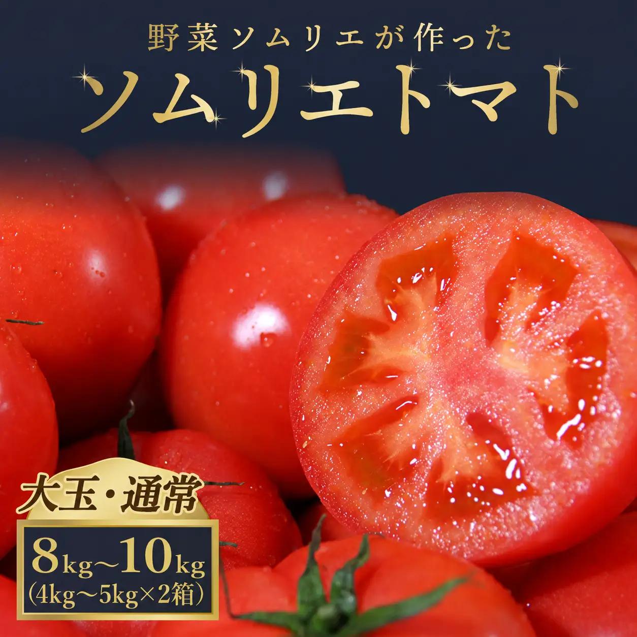 トマト 大玉 4kg～5kg ×２｜レッドアップ