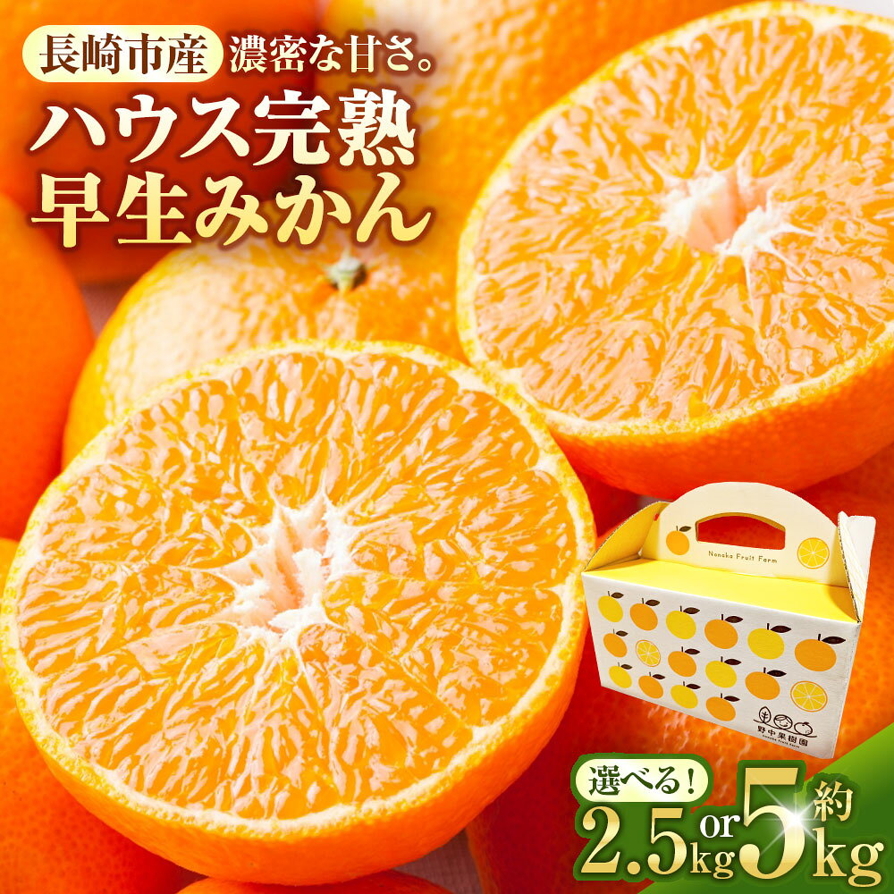 【ふるさと納税】先行予約 ハウス完熟早生みかん 選べる容量 ( お試し 約2.5kg箱 / 約5kg ) | 期間限定 早生温州みかん ミカン 蜜柑 フルーツ 果物 柑橘 長崎県 長崎市 送料無料 オンライン決済限定 アフター保証 【2027年1月発送予定】
