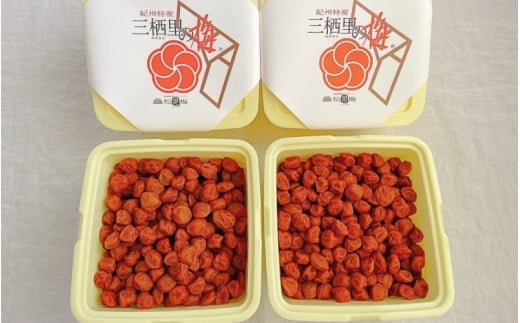  紀州小梅　紀州土用干小梅（塩分20％）　4kg(2kg×2個） / 田辺市 紀州南高梅 南高梅 梅干し 梅干 梅  肉厚 お米 おにぎり 焼酎 梅酒 健康 小梅 【ske050-1】