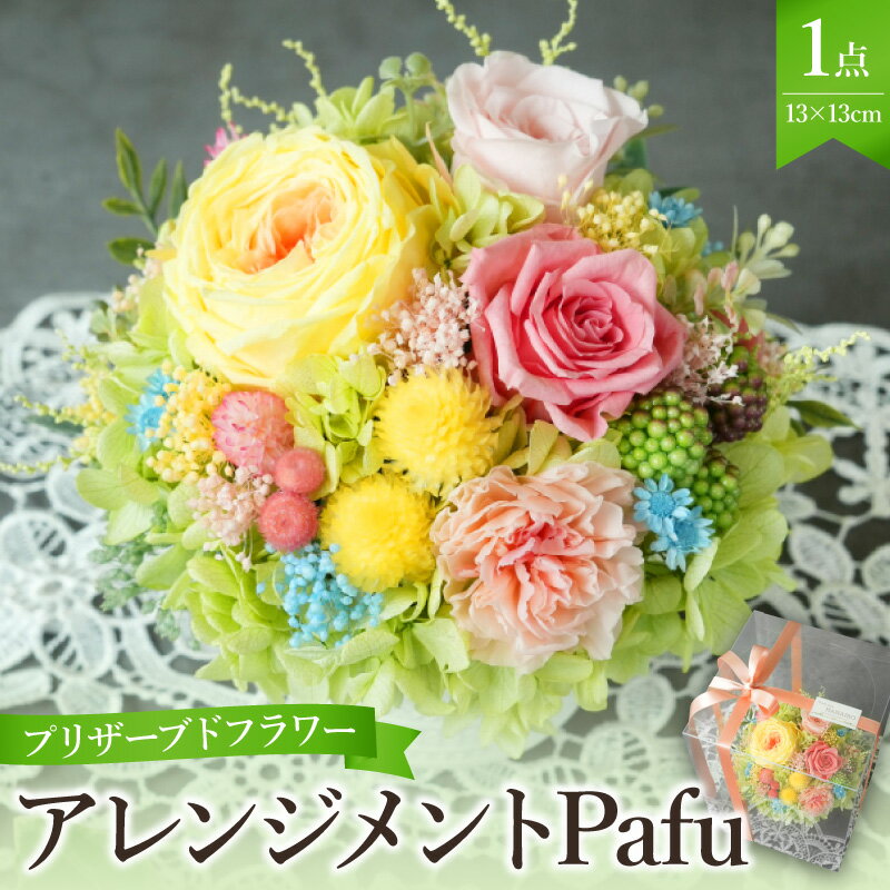 【ふるさと納税】プリザーブドフラワー アレンジメント Pafu クリアケース付 陶器 花 バラ アジサイ カーネーション 小花 グリーン フラワー インテリア 装飾品 誕生日 母の日 記念日 結婚 卒業 入学 出産祝い お祝い フラワーギフト 大阪府 吹田市