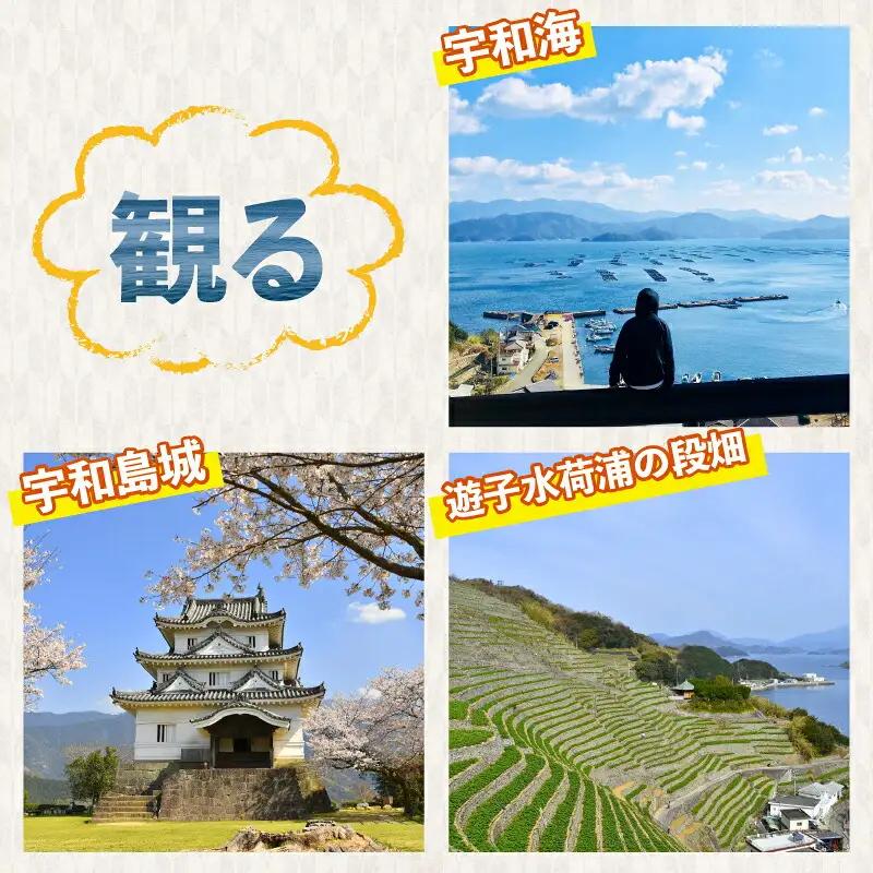 クライミング ボルダリング 回数券 11回分 一般 高校生 宇和島市スポーツ交流センター ロープクライミング チケット スポーツ 体験 アクティビティ オリンピック 山 岩 石 山岳 登山 家族 子供