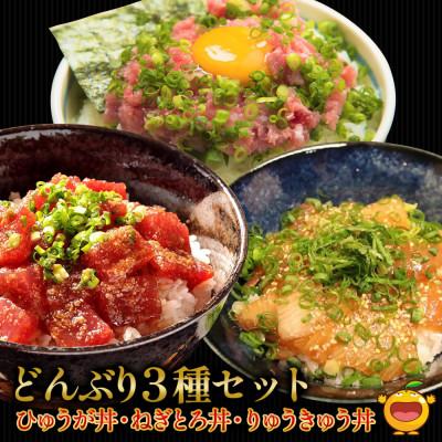ふるさと納税 津久見市 どんぶり3種セット(各3パック)