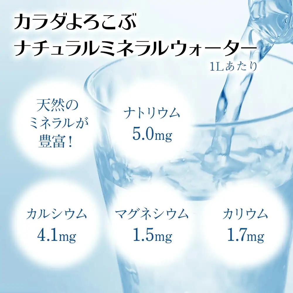 耶馬溪源流水 青の洞門 500ml×48本 2ケース | 水 飲料水 湧き水 天然水 ナチュラルミネラルウォーター 大分県 中津市