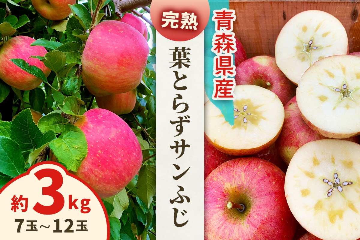 
                  完熟！葉とらずサンふじ 3kg｜青森産 青森りんご りんご リンゴ 林檎 果物 フルーツ さんふじ サンフジ 令和8年 2026年 [1086]
                