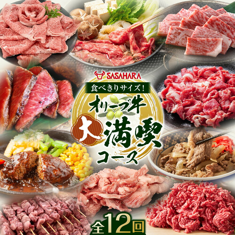 【ふるさと納税】【全12回】食べきりサイズ！オリーブ牛の大満喫コース | 牛肉 肉 お肉 牛 オリーブ牛 オリーブ ロース すき焼き ステーキ 肩ロース 焼肉用 すきしゃぶ用 赤身 切り落とし ハンバーグ 牛すき丼 ミンチ 牛スジ 人気 おすすめ 送料無料 香川県 高松市
