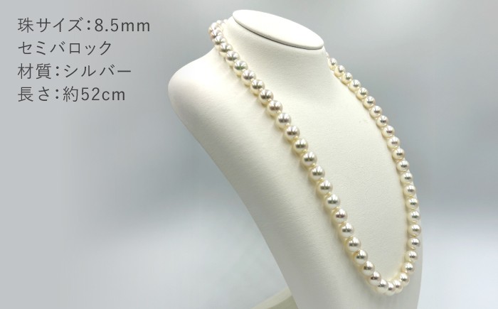 真珠 アコヤ 淡水 本真珠