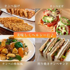 ルストテンペ(滋賀県産特別栽培大豆使用)10個セット テンペ