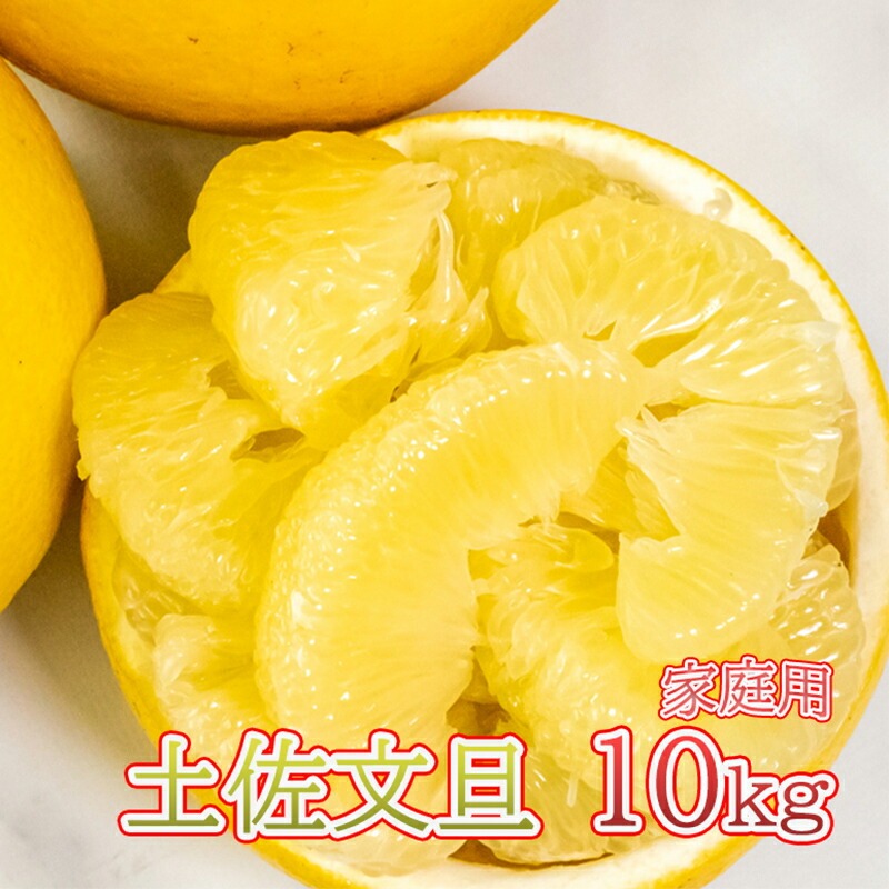 【 先行予約 】 土佐文旦 10kg 高知県産 柑橘 フルーツ 文旦 ぶんたん ブンタン 分担 果物 みかん 文旦 産地直送 高知県 須崎 須崎市 南国高知からの贈り物 ME024-x