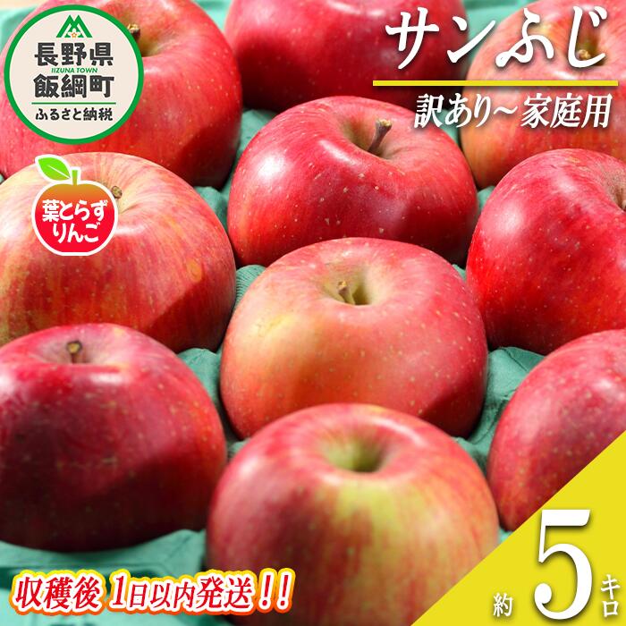 【ふるさと納税】 りんご 葉とらず サンふじ 訳あり 〜 家庭用 5kg 採れたてを発送 フレッシュフルーツミカズキ 沖縄県への配送不可 令和7年収穫 長野県 飯綱町 〔 傷 不揃い リンゴ 果物 フルーツ 信州 長野 19000円 予約 農家直送 〕発送時期：2025年11月中旬頃〜{*}