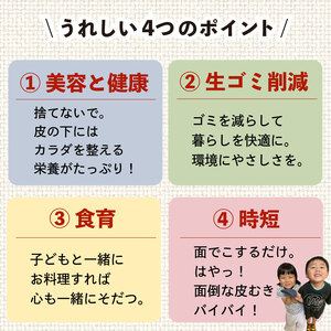 奈良発 たべものスポンジ「むく時代」から「のこす時代」へ。（大小セット） ykk01