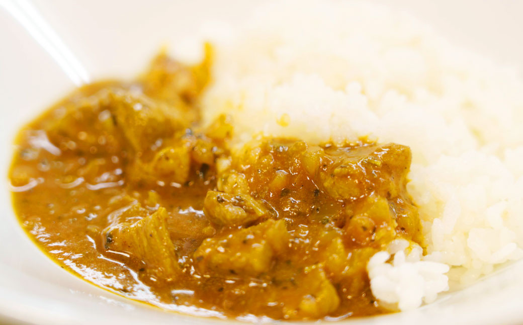 幸田消防カレー 200g×20個入り レトルトカレー カレー 小麦粉不使用