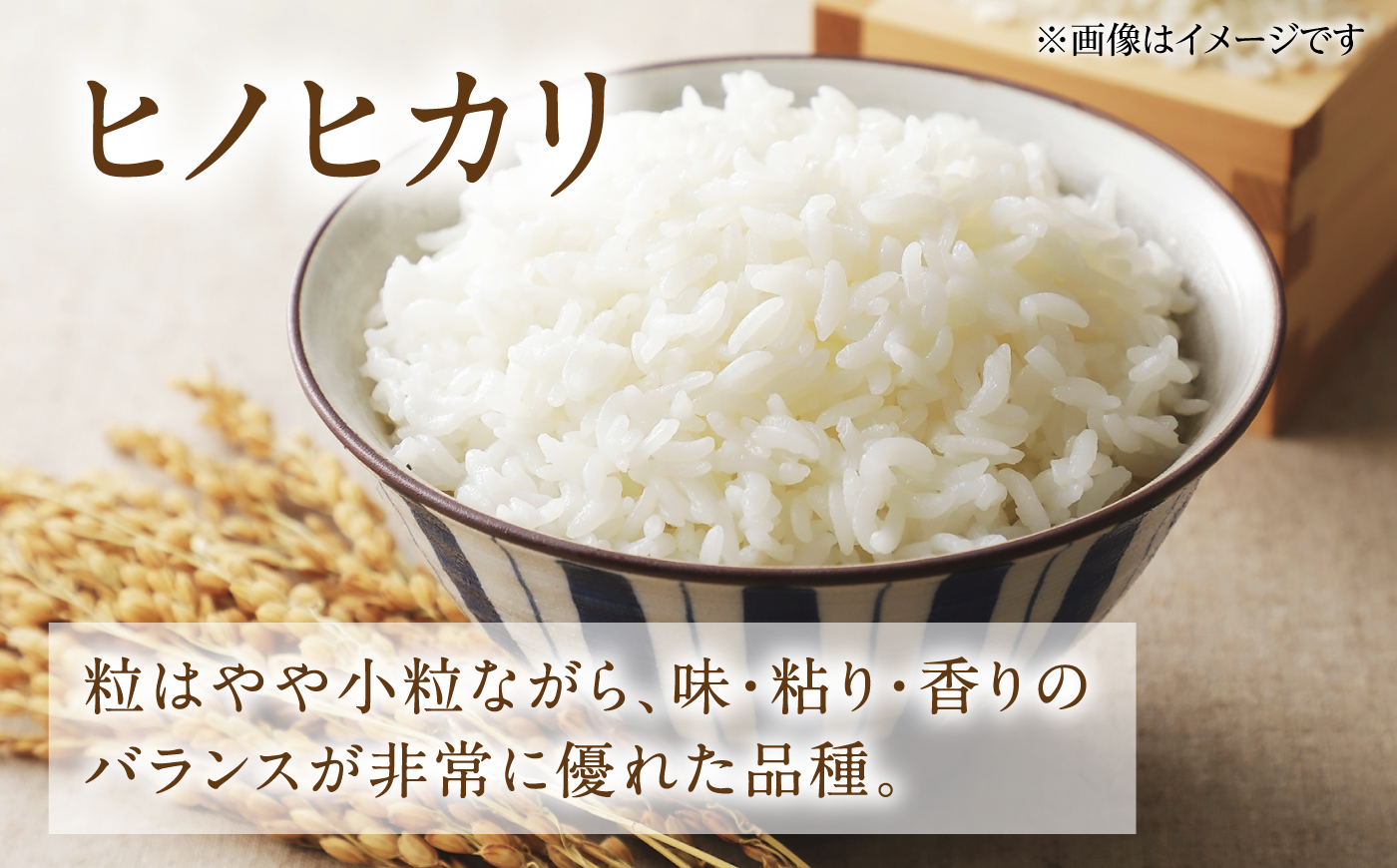 【山鹿市産米使用】 山鹿市産 ヒノヒカリ 白米 レトルト パックご飯 山鹿の舞 150g×12個 【株式会社 岩下農園】 [ZFS012]