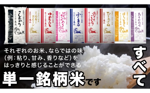 ＼ 令和8年産 新米 先行予約 ／【 6回 定期便（12～5月出荷）】 品種おまかせ 10kg （精米） 茨城県つくばみらい市産 こしひかり コシヒカリ あきたこまち ひとめぼれ ふくまる ゆめひたち