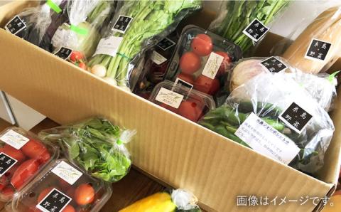 【全12回定期便】旬を味わう『糸島野菜セット』 10～14種（計14パック） 年12回お届けコース 野菜ソムリエ松永【vegeLabo】[AJB003]