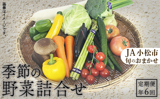 
《JA小松市 定期便６ヶ月》季節の野菜詰合せ
