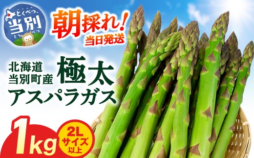 【2026年先行受付】　とれたて極太グリーンアスパラ1kg st-p