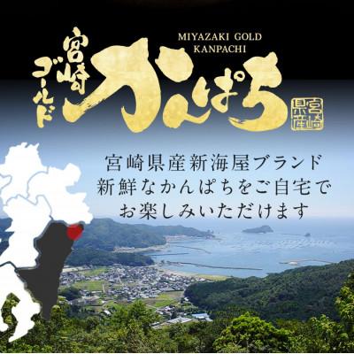 ふるさと納税 延岡市 宮崎産 宮崎ゴールドかんぱち 500g(冷凍) |  | 01