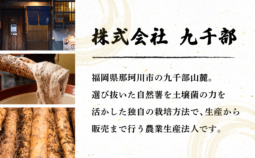 寄附額改定↓ 筥崎とろろ 自然薯のだしわりとろろ 計250g｜筥崎とろろ 自然薯 とろろ 出汁割り だしわりとろろ 九千部朱薯 福岡県 那珂川市 250g