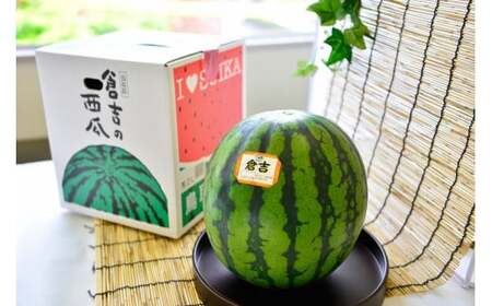 【倉吉産】倉吉スイカ 1玉（3Lサイズ）JA鳥取中央 スイカ 糖度12度以上